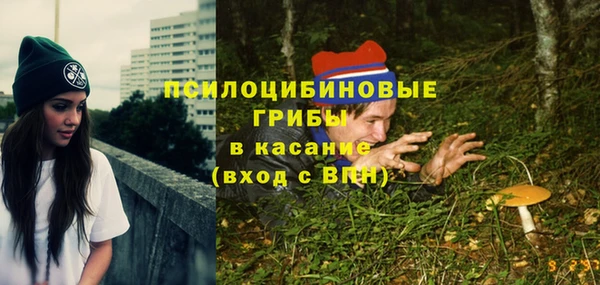 экстази Алексин