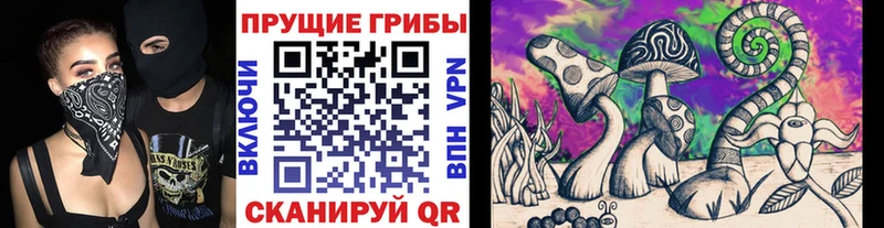 Галлюциногенные грибы мицелий  Змеиногорск 